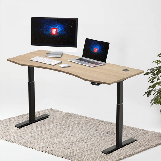 Hi5 Dual Motors Electric Height Adjustable Sit Standing Desk Office Computer Workstation(180*78cm)